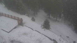 Přístup na běžeckou trať