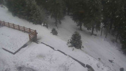 Přístup na běžeckou trať