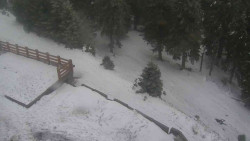 Přístup na běžeckou trať