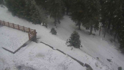 Přístup na běžeckou trať