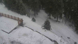 Přístup na běžeckou trať