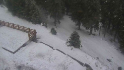 Přístup na běžeckou trať