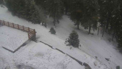 Přístup na běžeckou trať