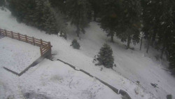 Přístup na běžeckou trať