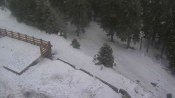 Přístup na běžeckou trať