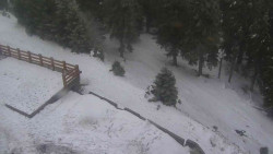 Přístup na běžeckou trať