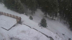 Přístup na běžeckou trať