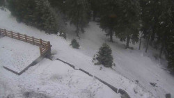 Přístup na běžeckou trať