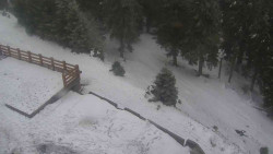 Přístup na běžeckou trať