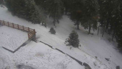 Přístup na běžeckou trať