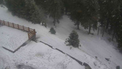 Přístup na běžeckou trať