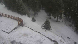 Přístup na běžeckou trať