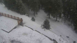 Přístup na běžeckou trať