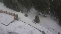 Přístup na běžeckou trať