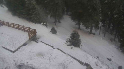 Přístup na běžeckou trať