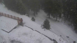 Přístup na běžeckou trať