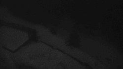 Přístup na běžeckou trať