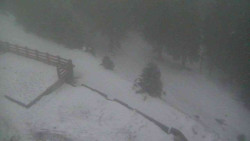 Přístup na běžeckou trať