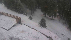 Přístup na běžeckou trať