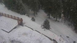 Přístup na běžeckou trať