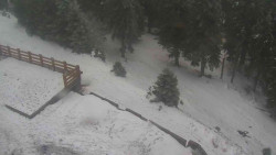 Přístup na běžeckou trať