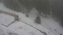 Přístup na běžeckou trať