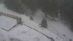 Přístup na běžeckou trať