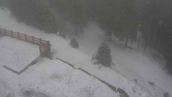 Přístup na běžeckou trať