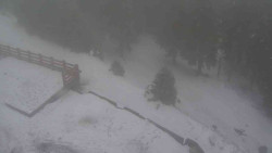 Přístup na běžeckou trať