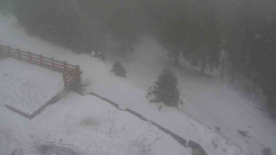 Přístup na běžeckou trať