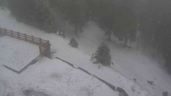 Přístup na běžeckou trať