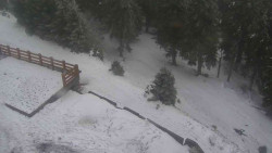 Přístup na běžeckou trať