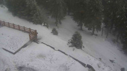 Přístup na běžeckou trať