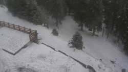 Přístup na běžeckou trať