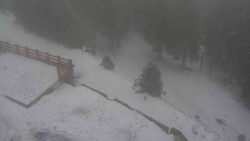 Přístup na běžeckou trať