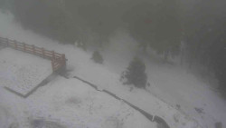 Přístup na běžeckou trať