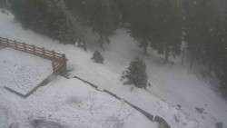 Přístup na běžeckou trať