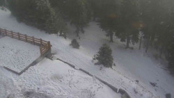 Přístup na běžeckou trať