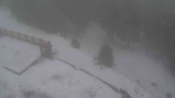 Přístup na běžeckou trať