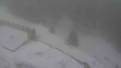 Přístup na běžeckou trať