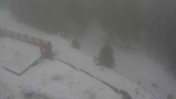 Přístup na běžeckou trať