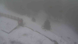 Přístup na běžeckou trať