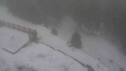 Přístup na běžeckou trať