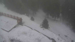 Přístup na běžeckou trať