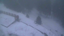 Přístup na běžeckou trať