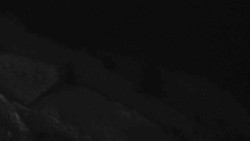 Přístup na běžeckou trať