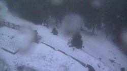 Přístup na běžeckou trať