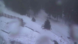 Přístup na běžeckou trať