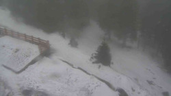 Přístup na běžeckou trať