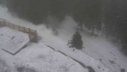 Přístup na běžeckou trať